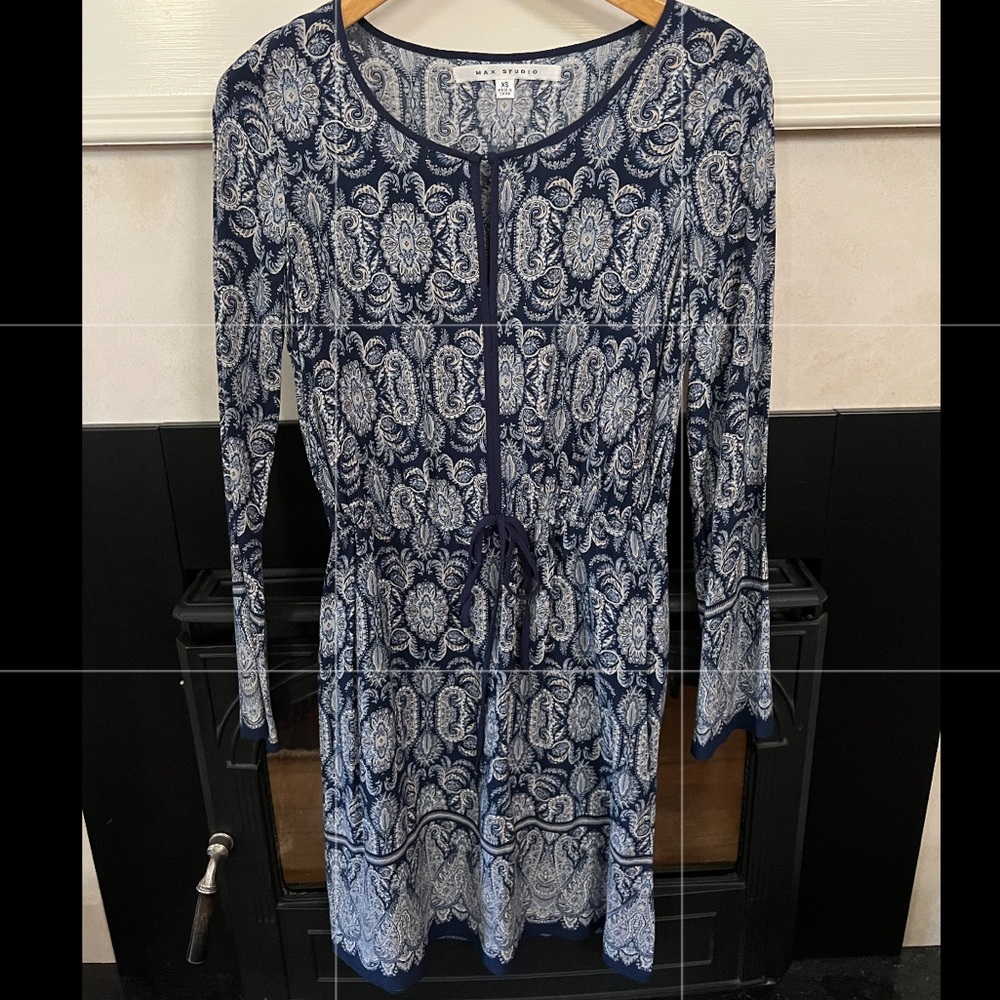 Max Studio Long Sleeve Dress with Design